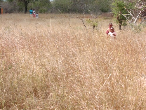 boy-girl-grass.jpg