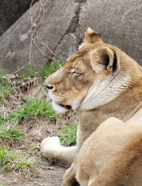 Image00018_n.jpg
