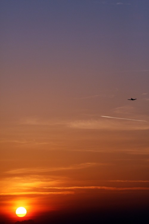 IMG_1794-copy.jpg
