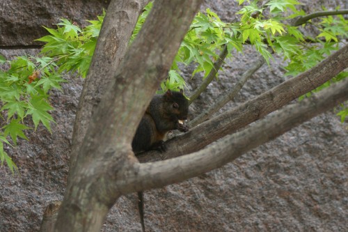 IMG_5609.jpg