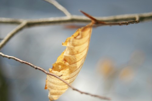 IMG_8904.jpg