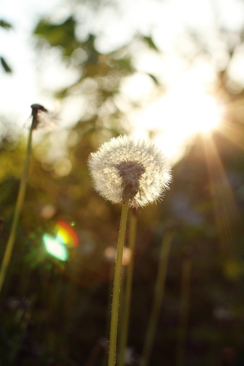 nature004.jpg