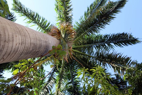 nature008-1055326910.jpg