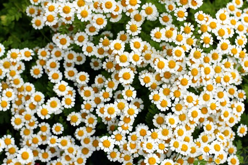 nature012.jpg