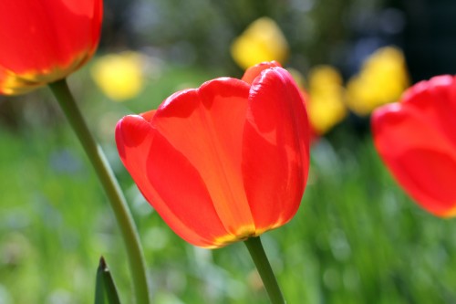 nature015.jpg