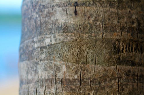 object25-1283911643.jpg